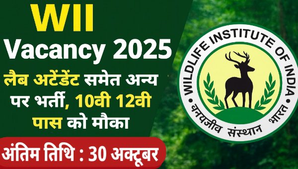 WII Vacancy 2025: वन विभाग में लैब परिचारक समेत अन्य भर्ती – 10वीं/12वीं पास के लिए सुनहरा मौका!